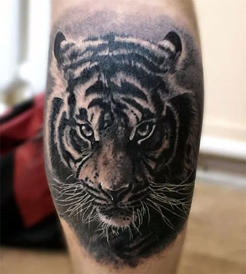 Detail Tato Harimau Di Dada Nomer 12