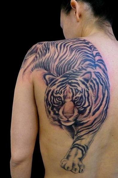 Detail Tato Harimau Di Dada Nomer 30