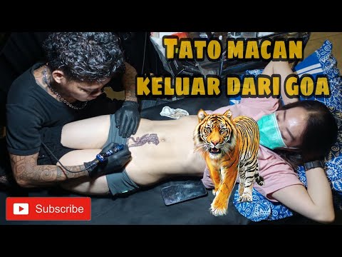 Detail Tato Keren Di Perut Nomer 32