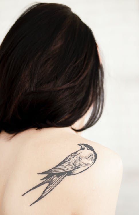 Detail Tatto Gambar Burung Nomer 28