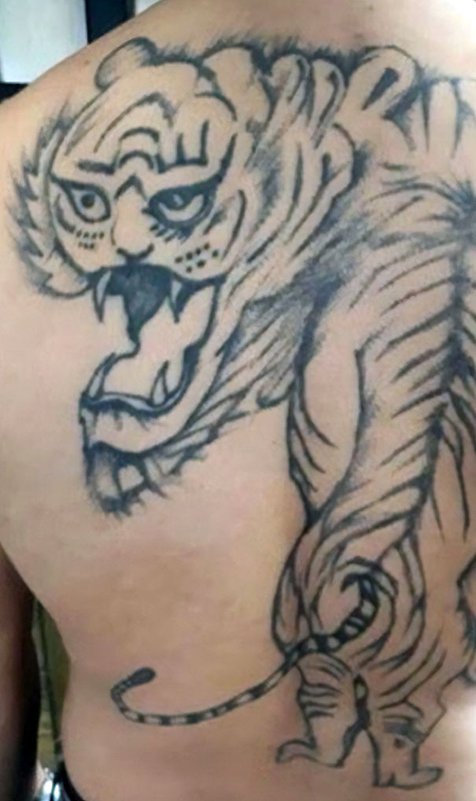 Detail Tatto Singa Nomer 19