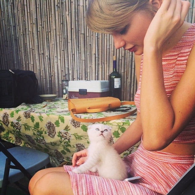 Detail Taylor Swift Meme Nomer 48