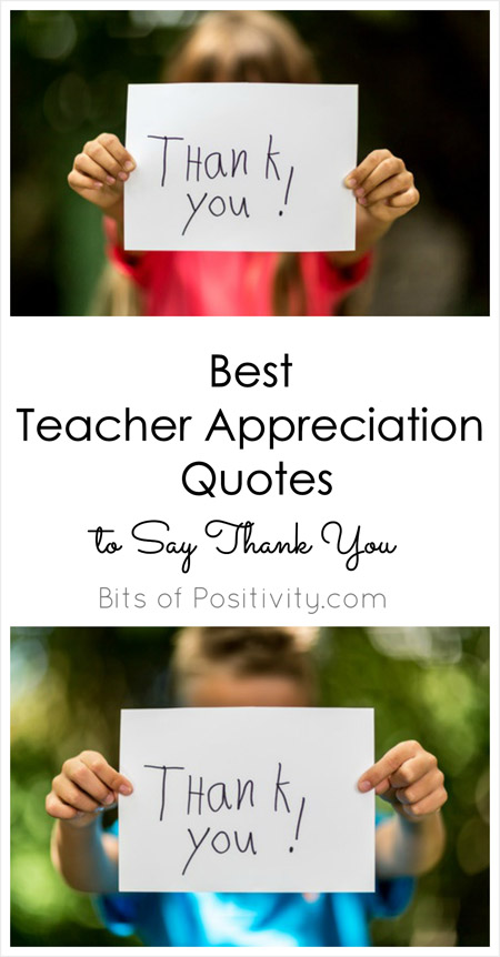 Detail Teacher Appreciation Quotes Nomer 15