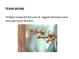 Detail Team Work Semut Nomer 25