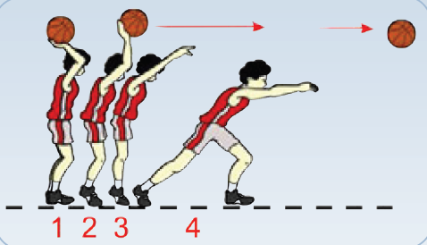 Detail Teknik Melempar Bola Bola Basket Beserta Gambar Nomer 17