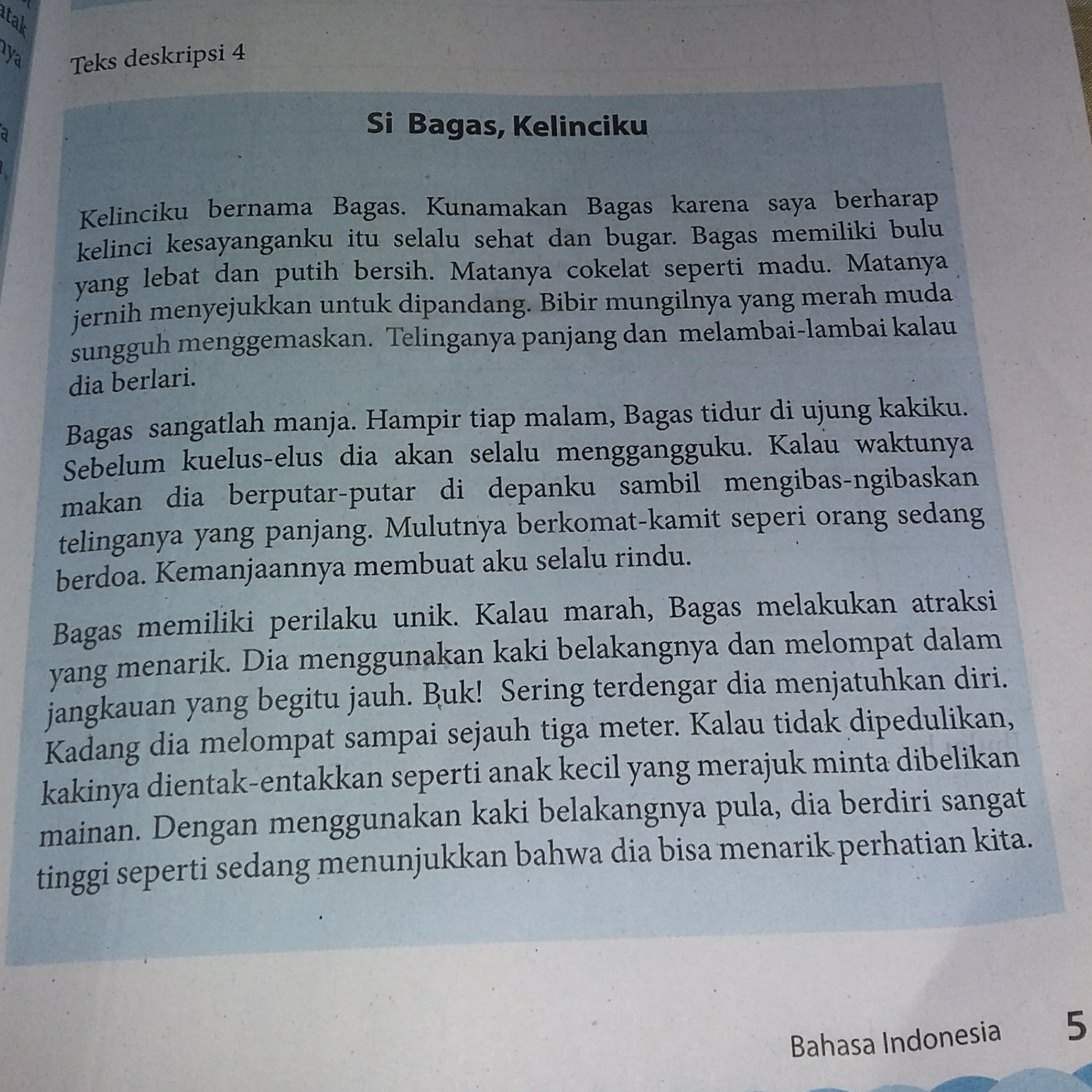Detail Teks Deskripsi Beserta Gambar Bahasa Indonesia Nomer 5