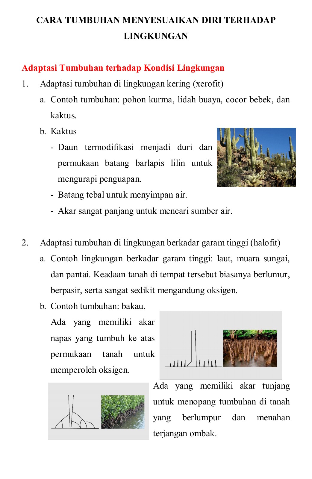 Detail Tempat Mencari Sumber Gambar Nomer 12