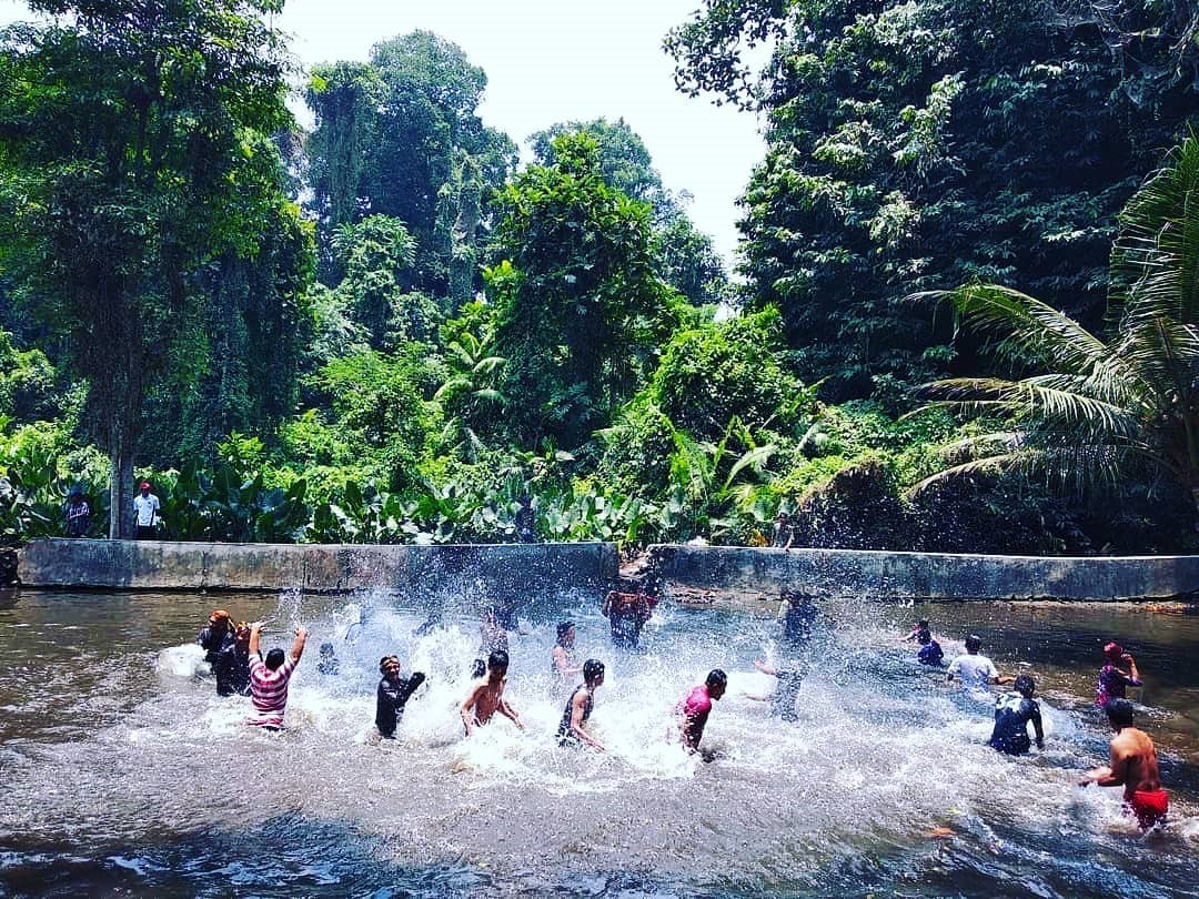 Detail Tempat Mencari Sumber Gambar Nomer 31