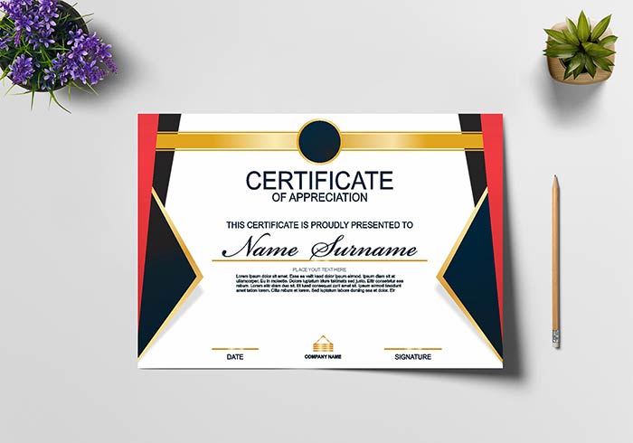 Detail Template Certificate Cdr Nomer 41