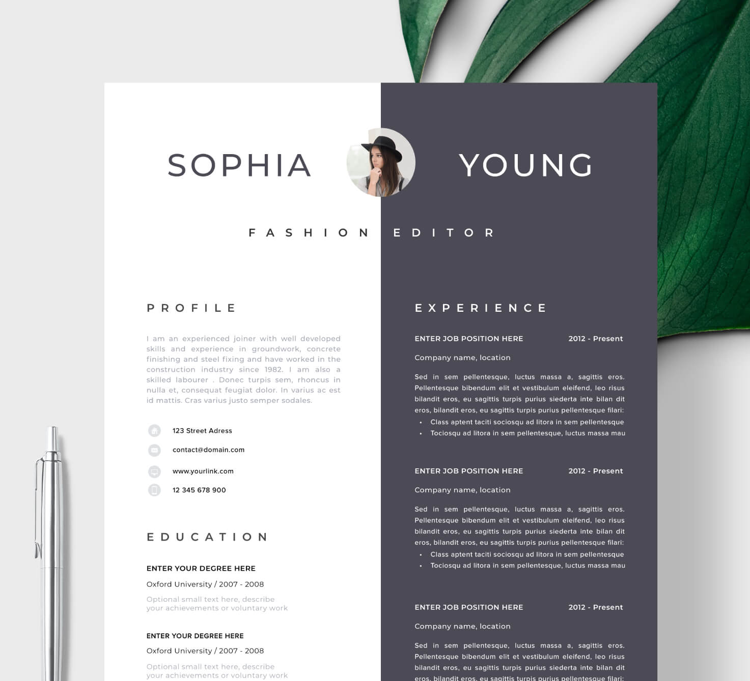 Detail Template Cv Elegant Nomer 21