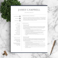 Detail Template Cv Elegant Nomer 35