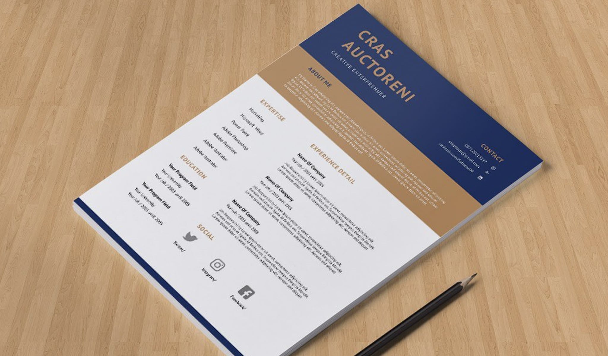 Detail Template Cv Elegant Nomer 43