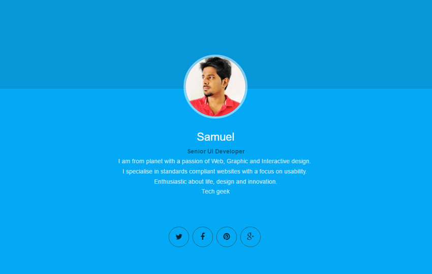 Detail Template Cv Html5 Nomer 37