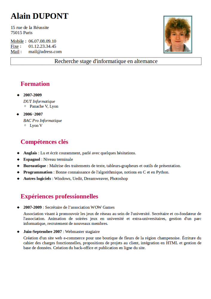 Detail Template Cv Informatique Nomer 18