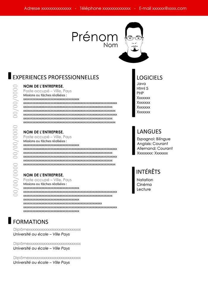 Detail Template Cv Informatique Nomer 25