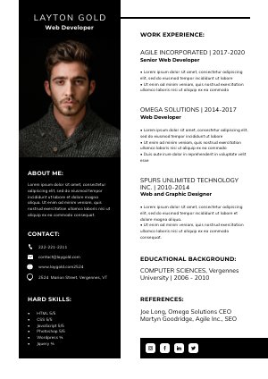 Detail Template Cv Informatique Nomer 42