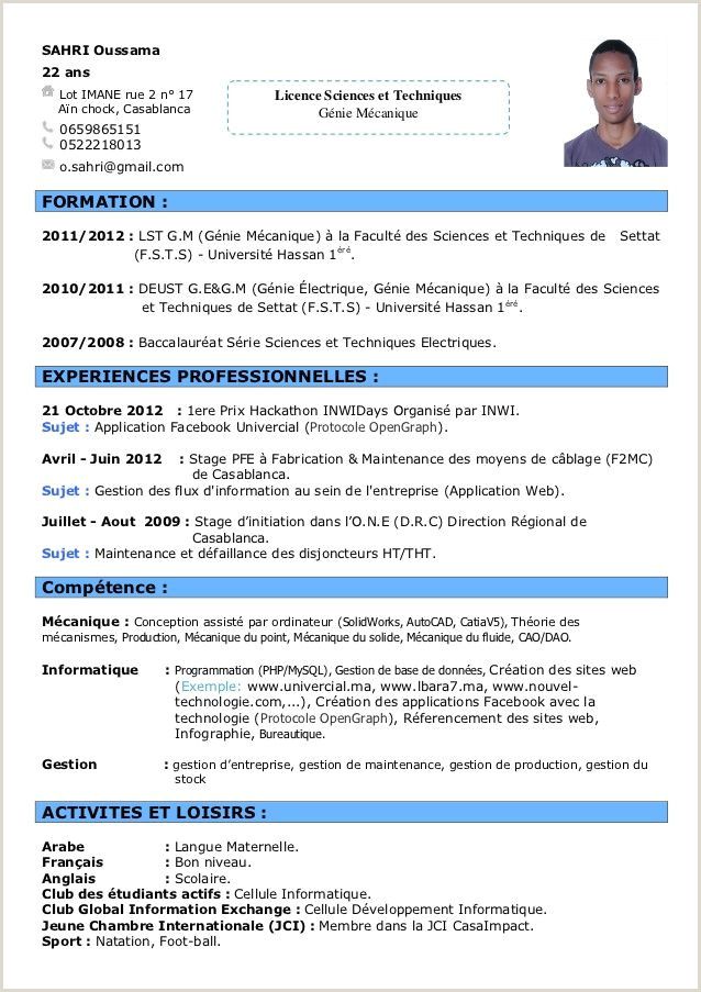 Detail Template Cv Informatique Nomer 10