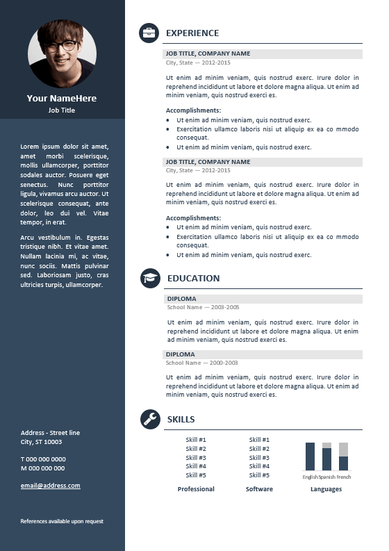 Detail Template Cv Profesional Nomer 12