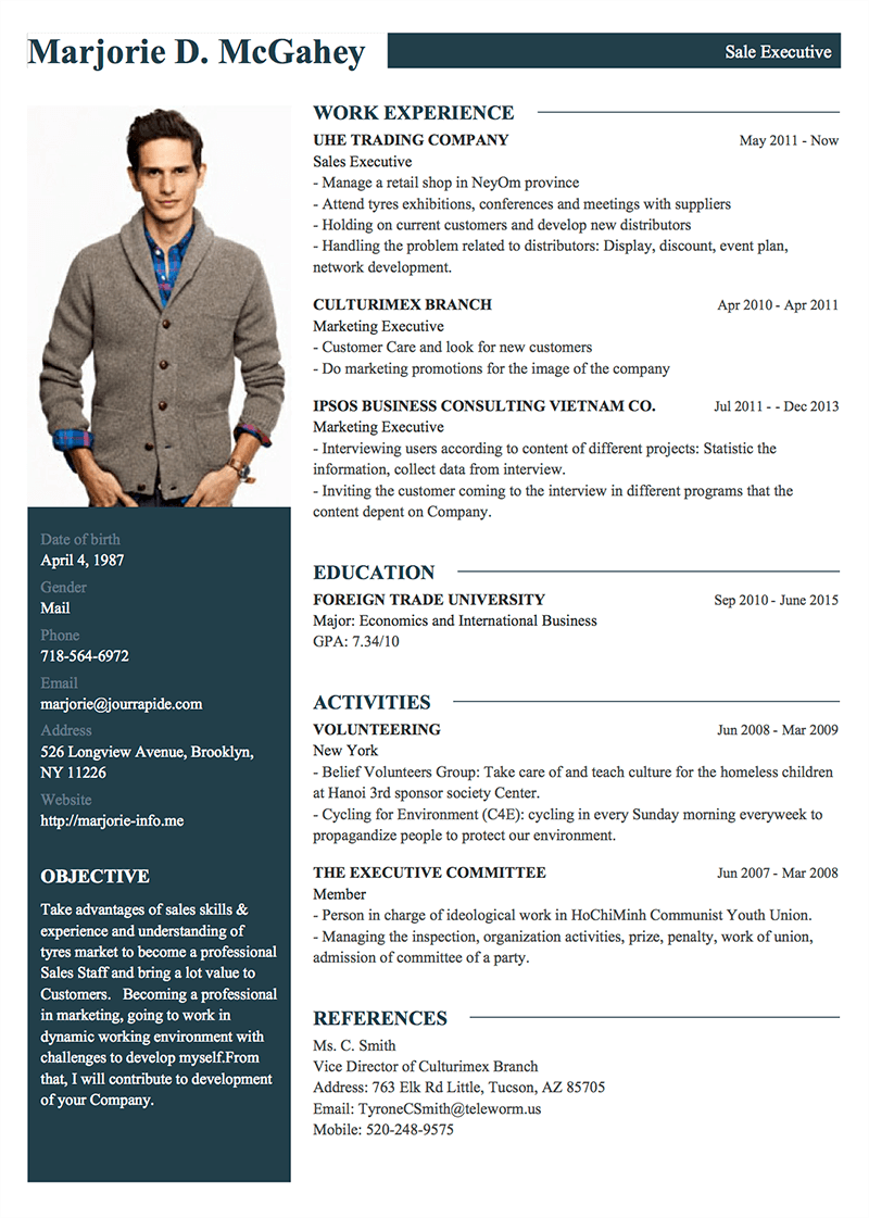 Detail Template Cv Profesional Nomer 14