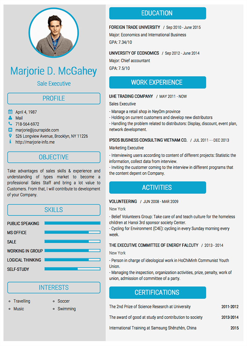 Detail Template Cv Profesional Nomer 33