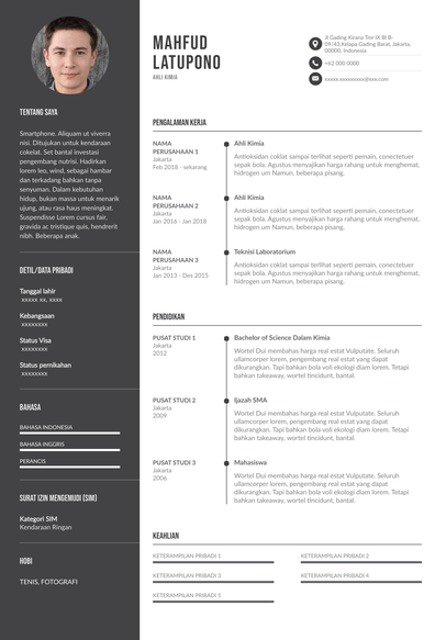 Detail Template Cv Profesional Nomer 51