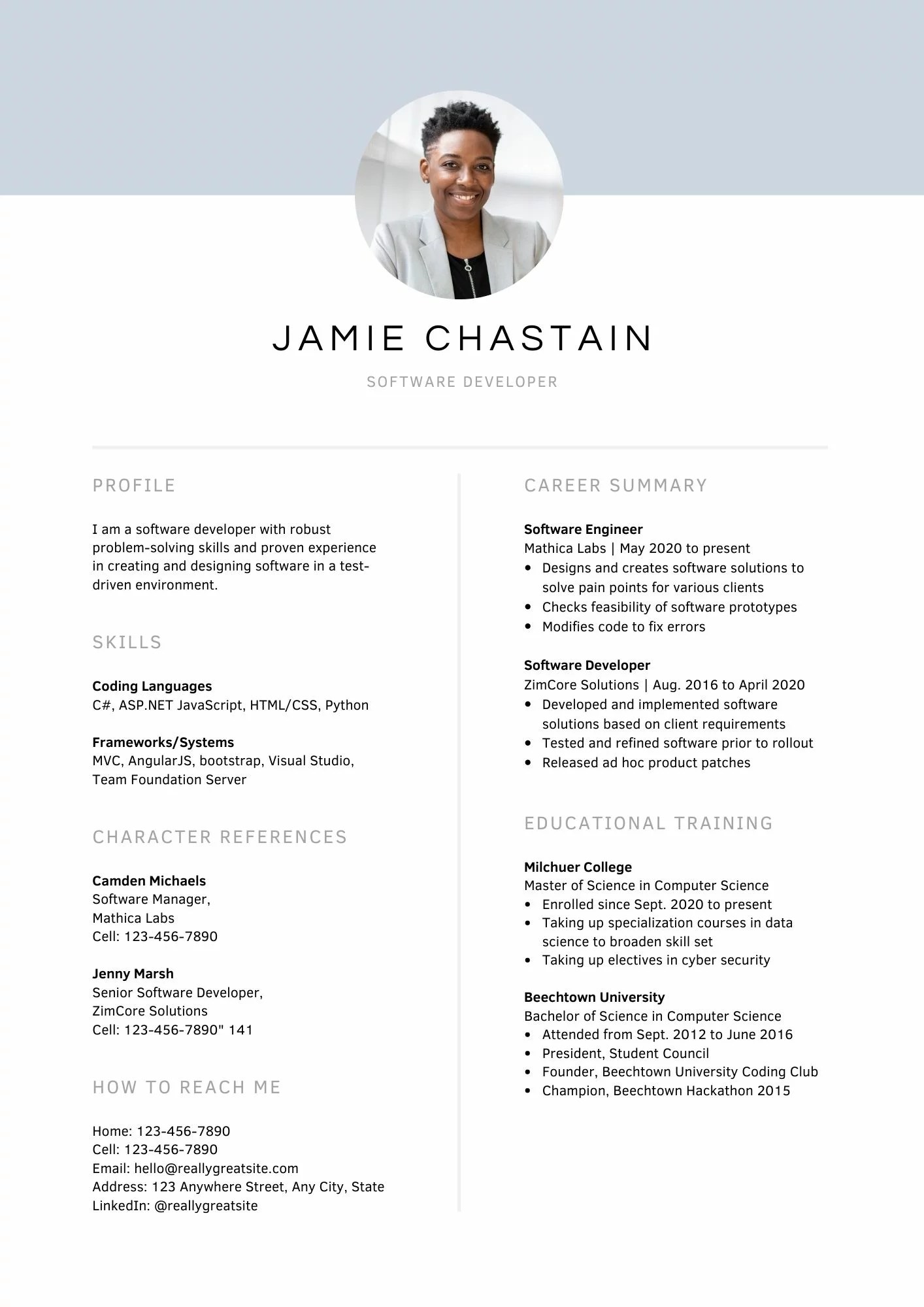 Detail Template Cv Profesional Nomer 55