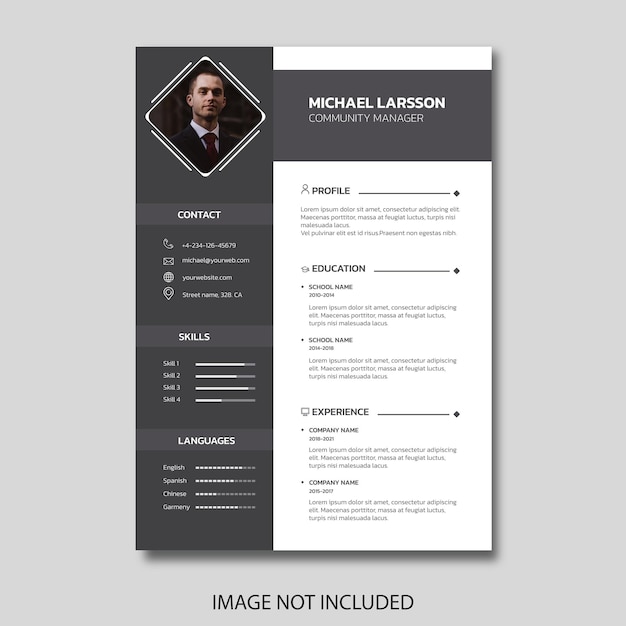 Detail Template Cv Profesional Nomer 7