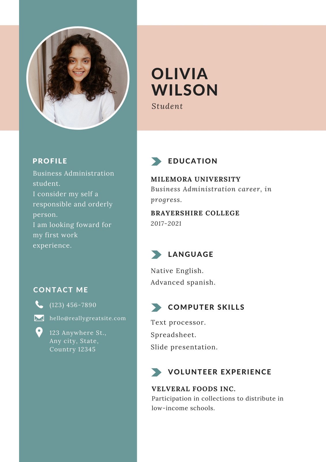 Detail Template Cv Simple Nomer 45