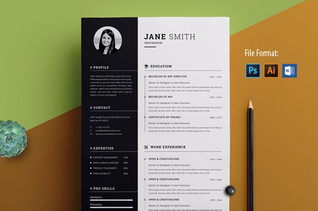 Detail Template Cv Simple Gratis Nomer 50