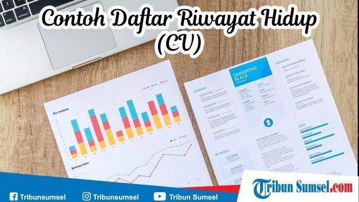 Detail Template Cv Untuk Melamar Kerja Nomer 31