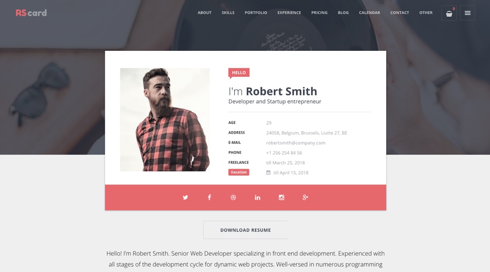 Detail Template Cv Wordpress Nomer 13