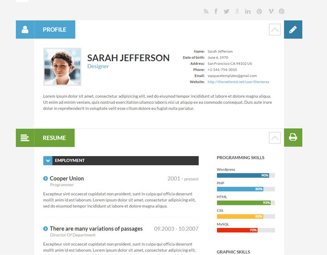 Detail Template Cv Wordpress Nomer 23