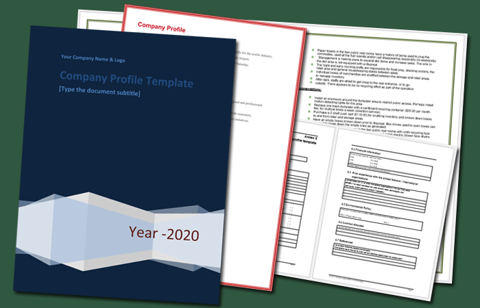 Detail Template For Company Profile In Word Nomer 34