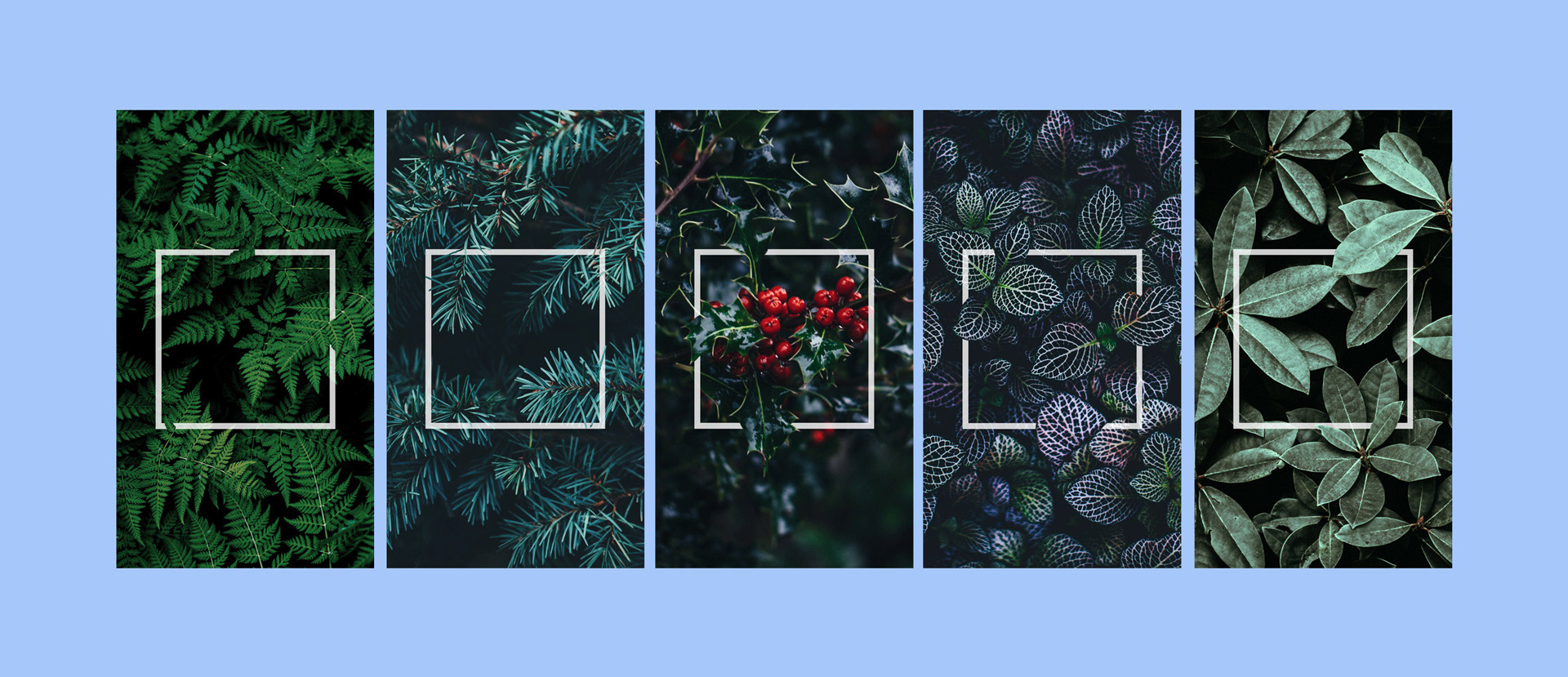 Detail Template Frame Instagram Nomer 40
