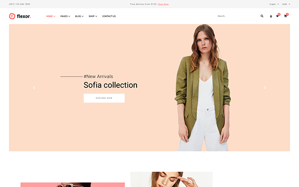 Detail Template Html5 Ecommerce Nomer 17