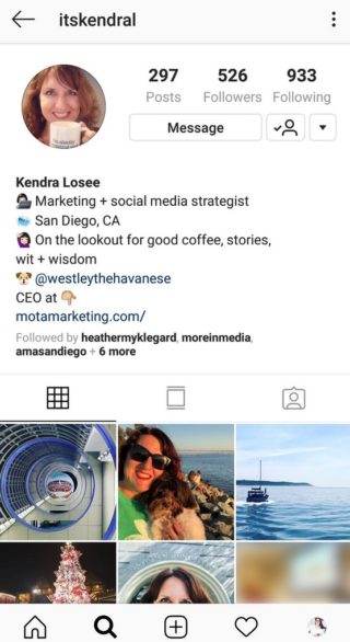 Detail Template Instagram Bio Nomer 15