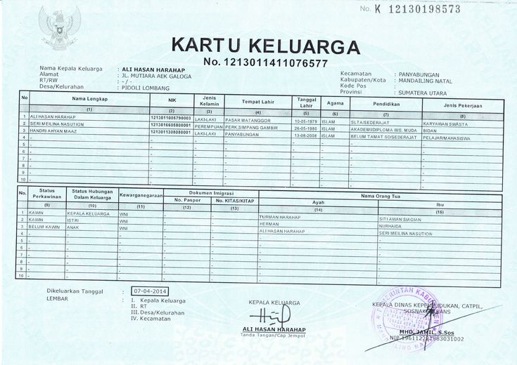 Detail Template Kartu Keluarga Nomer 15