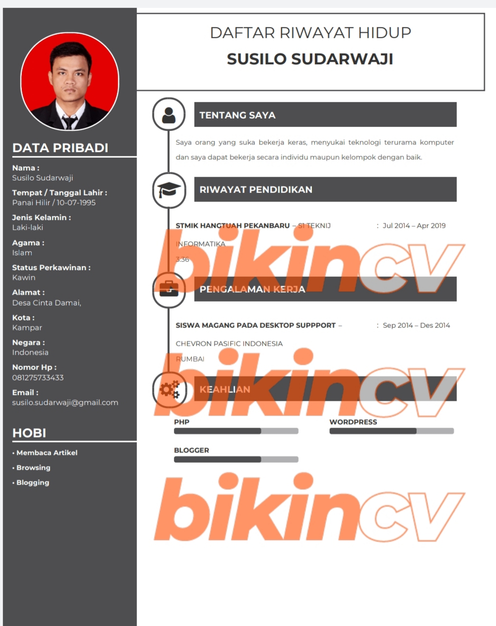 Download Template Membuat Cv Nomer 27