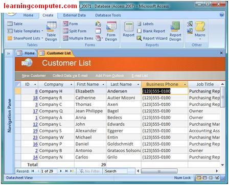 Detail Template Ms Access 2007 Nomer 28