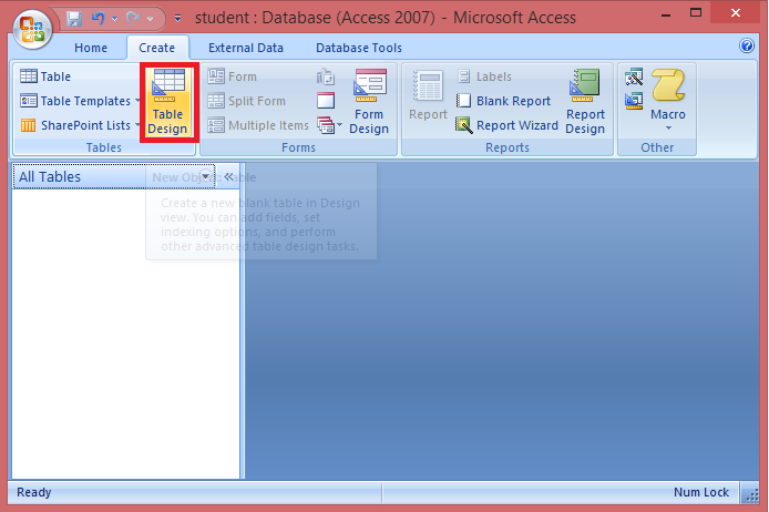 Detail Template Ms Access 2007 Nomer 29