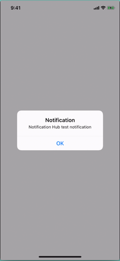 Detail Template Notification Iphone Nomer 16