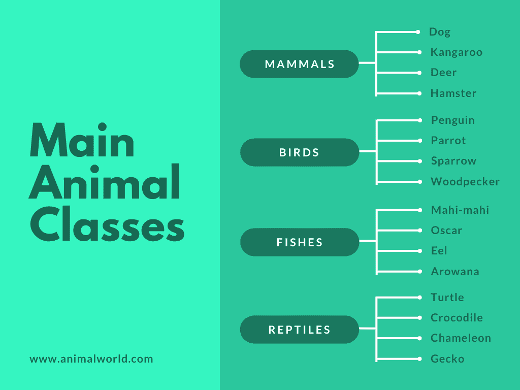 Detail Template Peta Konsep Word Nomer 28