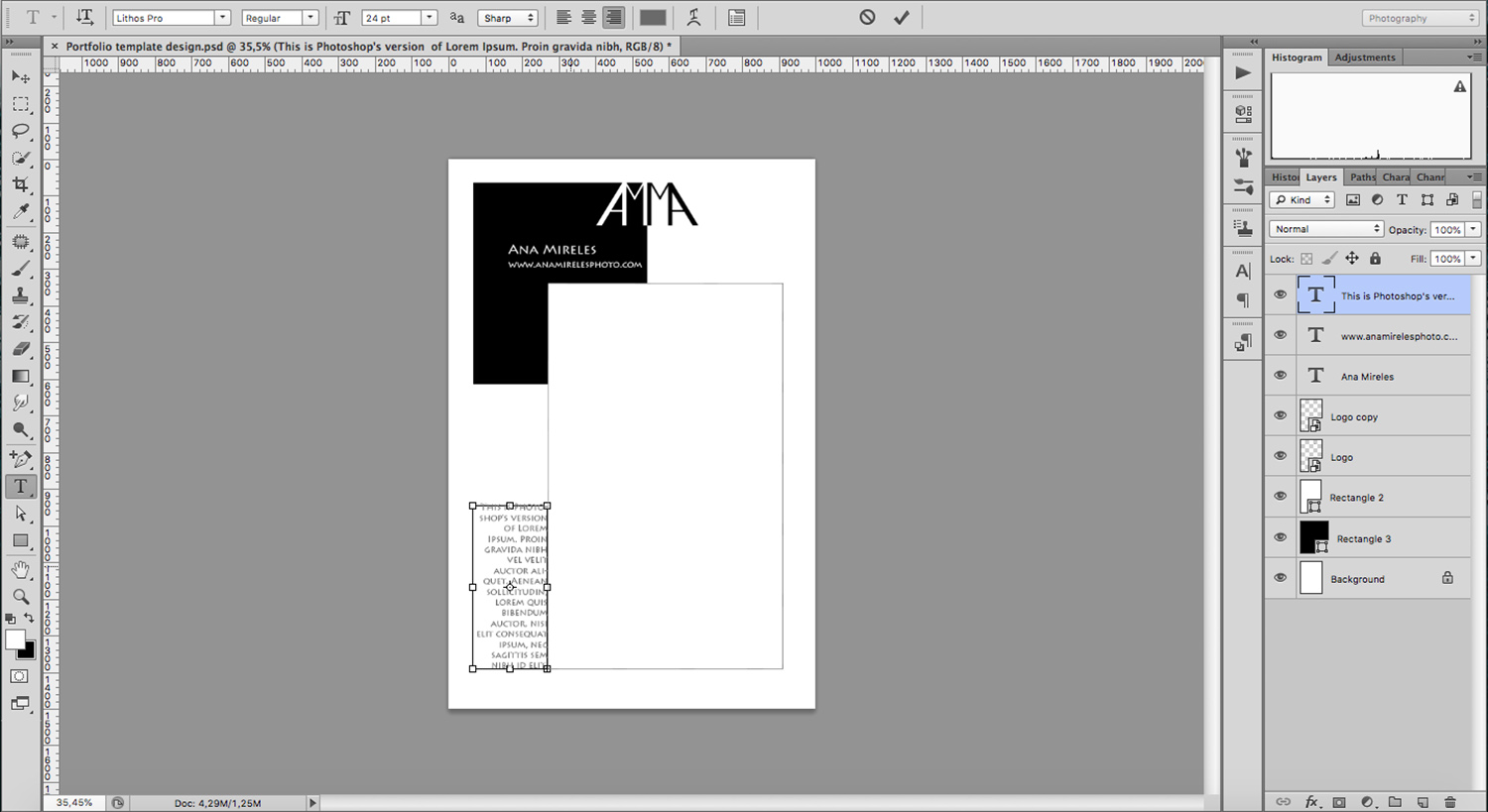 Detail Template Photoshop Portfolio Nomer 47