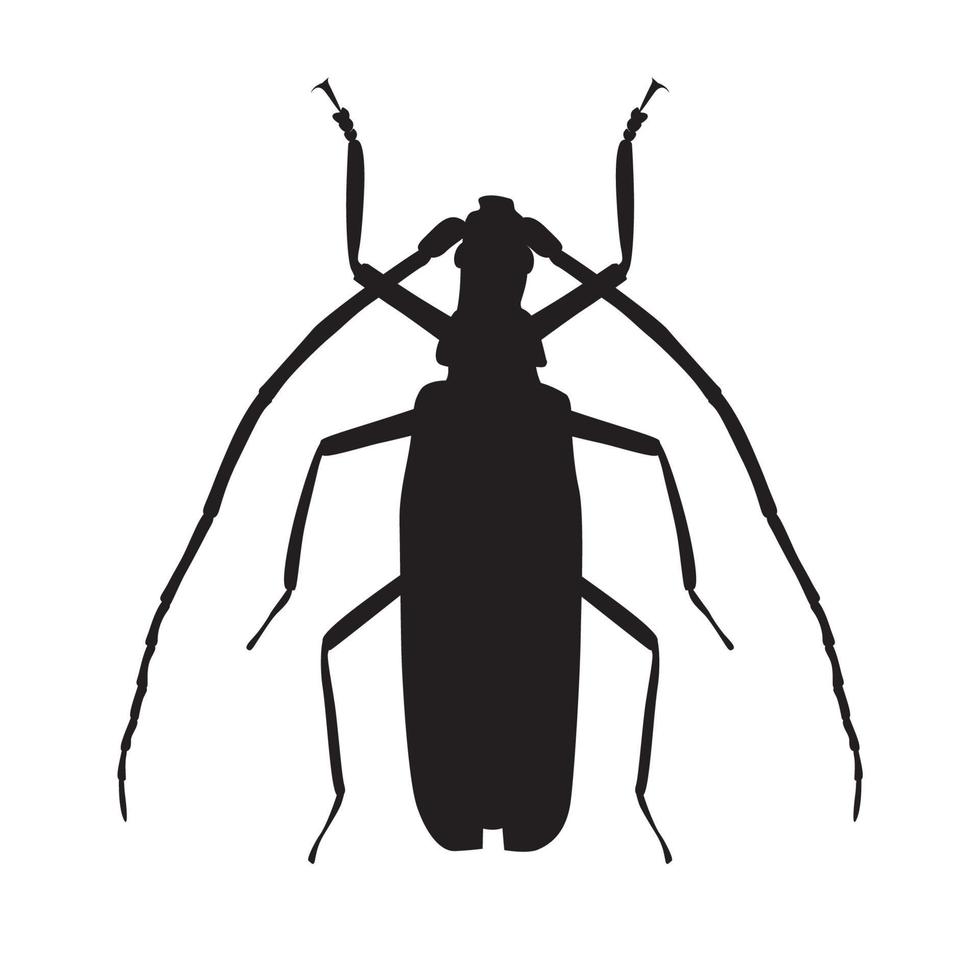 Beetle Silueta - KibrisPDR