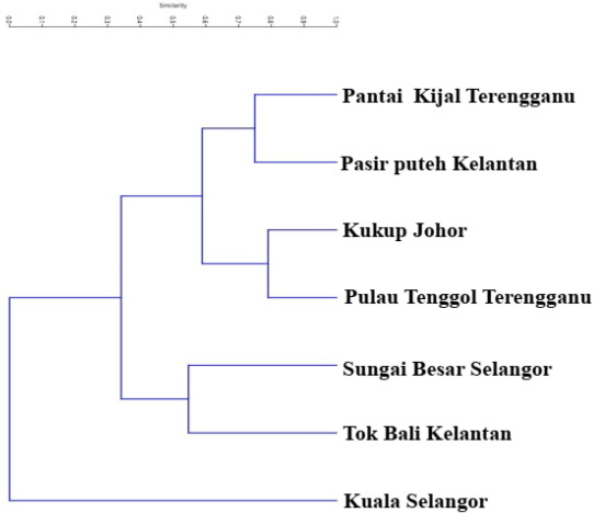 Detail Download Logo Pt Tropis Group Nomer 26