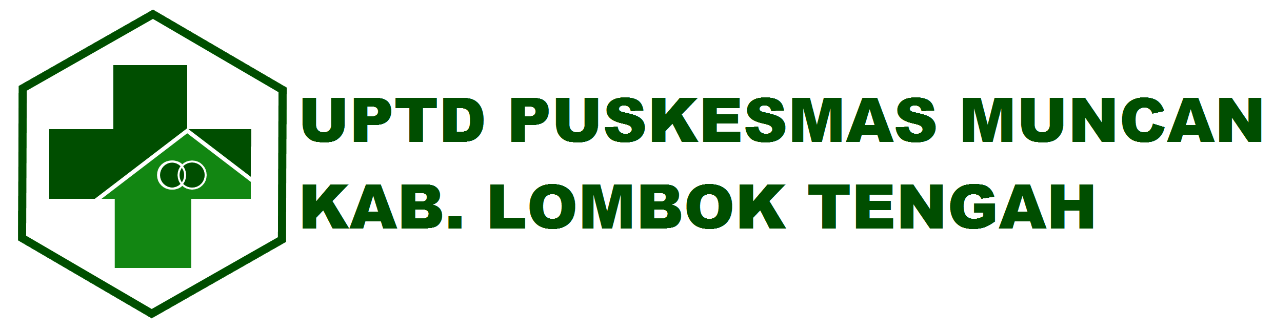 Detail Download Logo Puskesmas Png Nomer 29