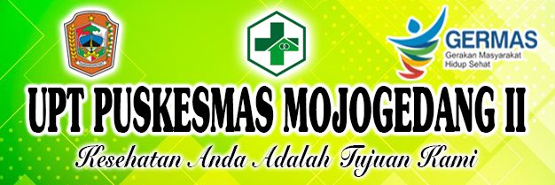 Detail Download Logo Puskesmas Png Nomer 40