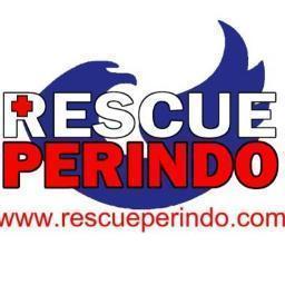 Download Logo Rescue Perindo - KibrisPDR