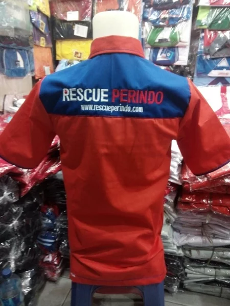 Detail Download Logo Rescue Perindo Nomer 47