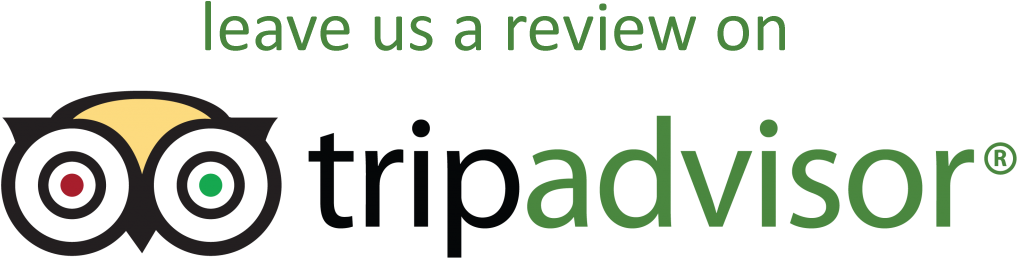 Detail Download Logo Review Us Tripadsivor Nomer 3